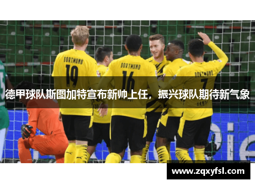 德甲球队斯图加特宣布新帅上任，振兴球队期待新气象